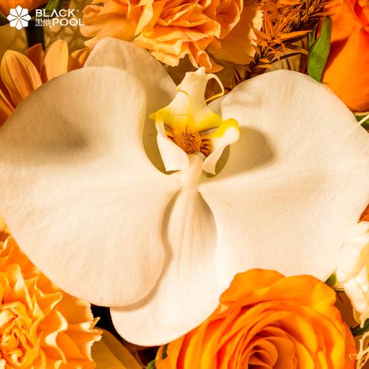 （兑换专用）（提前一天预定配送限深圳）【金牛座·鲜花】似阳光，又似春水般暖意融融 商品图4