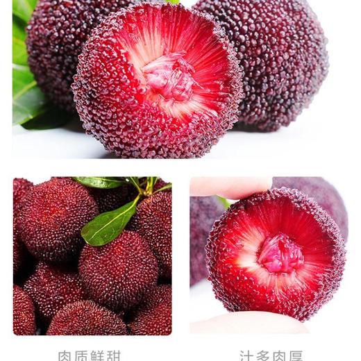 云南杨梅250g/盒 商品图5