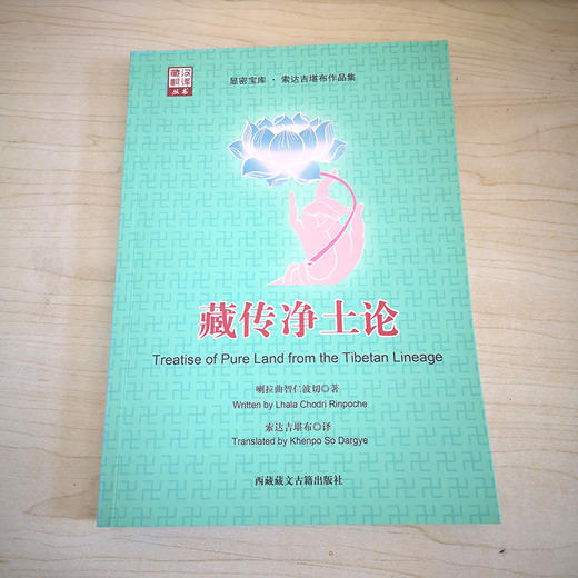 藏传净土论 商品图0