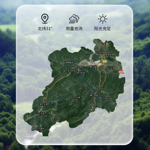 宣上医霍山石斛纯粉 商品图4