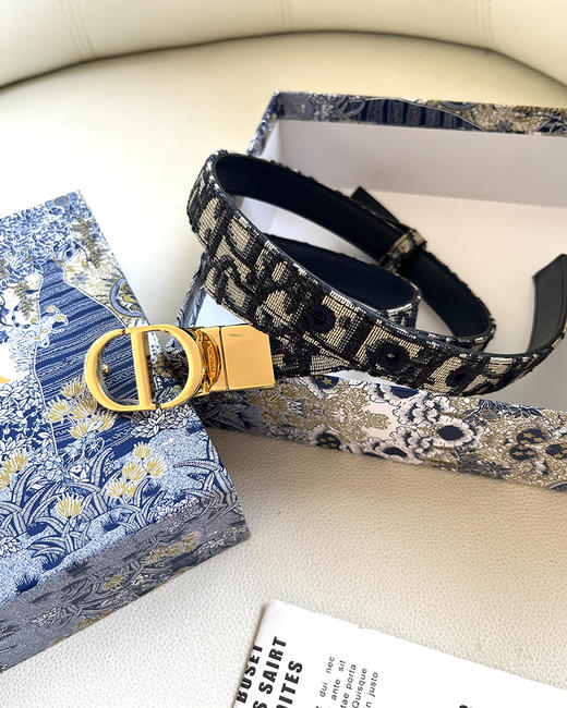 THS 4.20-无 D家 女士   Oblique图案2.0 老花帆布双面腰带 CR211 商品图6