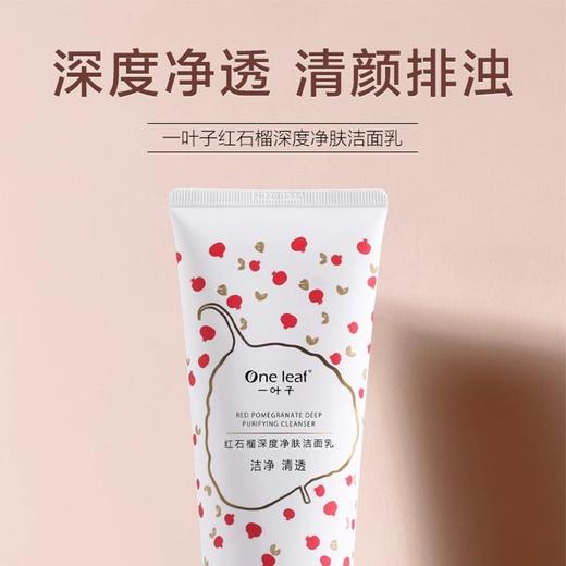 【15元会员福利】一叶子洁面乳135g    商品图1