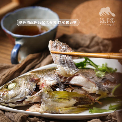 野生东山岛黄鸡鱼 | 合作生产 * Wild Dongshan Island Yellow chicken fish | Coproduction 商品图0
