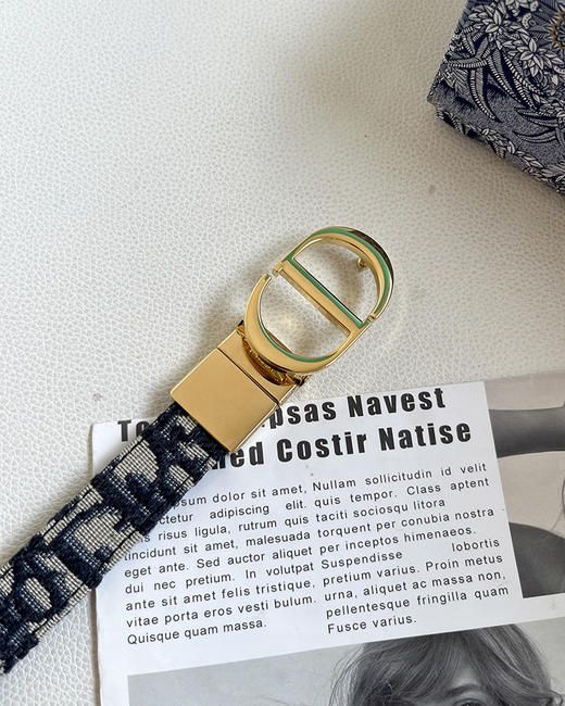 THS 4.20-无 D家 女士   Oblique图案2.0 老花帆布双面腰带 CR211 商品图4