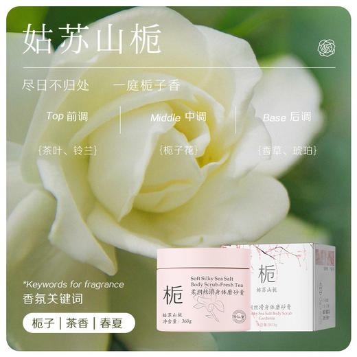 新款蜜境珍仁堂身体磨砂膏360g磨砂膏157317161 商品图3