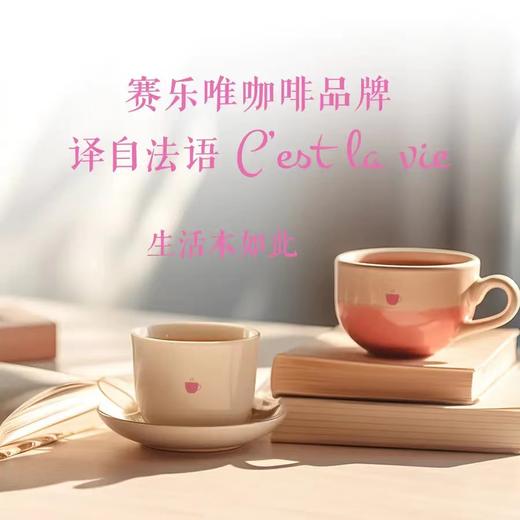 【赛乐维】100%阿拉比卡挂耳咖啡 100%阿拉比卡咖啡豆  原豆研磨纯粹无添加 口感柔和深度烘焙 焦糖、黑巧克力与坚果风味  如风生活特惠 商品图1