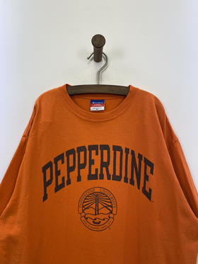 Y2K Vintage Champion 冠军 短袖T恤 _SST(XL)