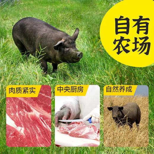 黑猪实力肉肠400g*4袋 商品图3