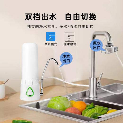 艾可丽 盖亚净水器家用直饮智能厨房自来水过滤器超滤台式净水机滤芯 商品图4