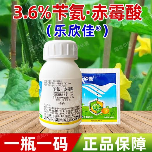 苄氨赤霉酸乐欣佳3.6%细胞分裂素赤霉酸膨大果实植物生长调节剂 商品图4