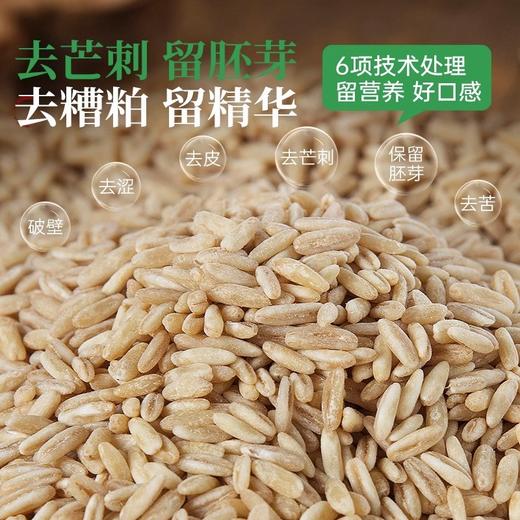 璞匠有机燕麦胚芽米农家新货五谷杂粮粗粮粥脱皮燕麦粒裸去壳新米 商品图1