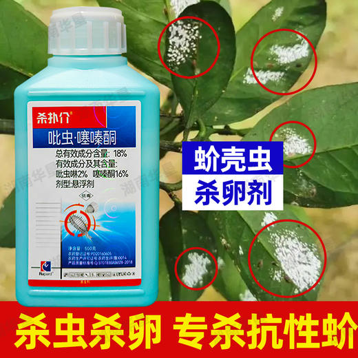 杀扑介18%吡虫啉噻嗪酮蚧壳虫介壳虫 柑橘果树荣邦农药大全杀虫剂 商品图4