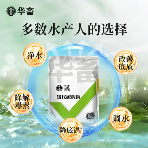 华畜大苏打除氯剂硫代硫酸钠水产养殖水质净化解毒安定剂调水净水 商品图3