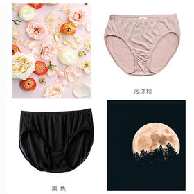 环保桑蚕丝女士中腰内裤