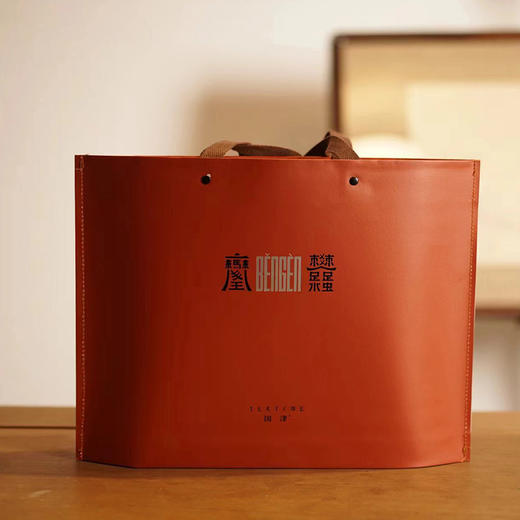 国津丨天尖饼 安化黑茶 2023年原料 300g 礼盒配手提袋 商品图4