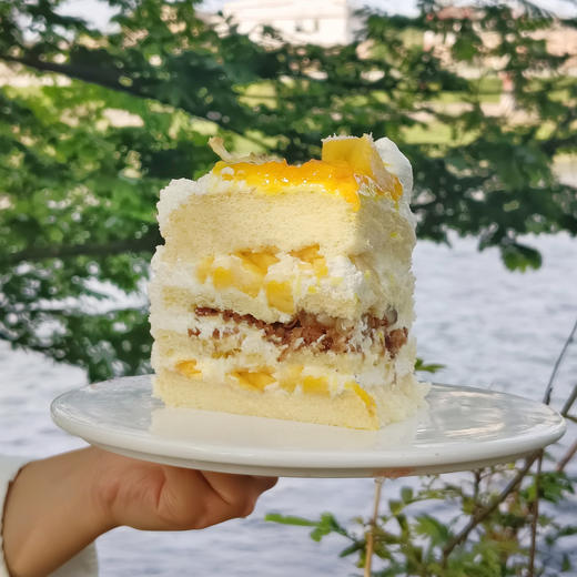 阳光波波凤梨（停用） 商品图1