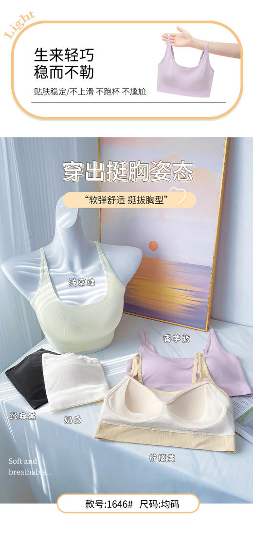 内衣1646 商品图0