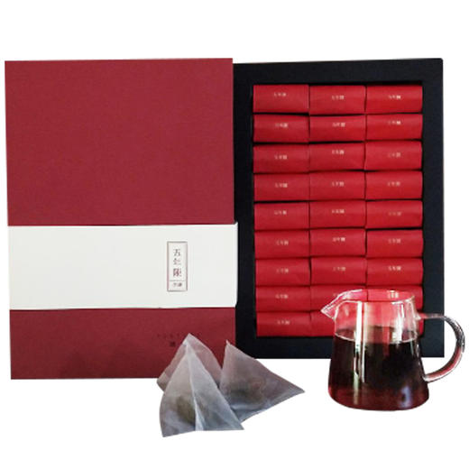 国津丨五年陈茯砖 安化黑茶 2014年原料 216g（8g*27）配手提袋 商品图1