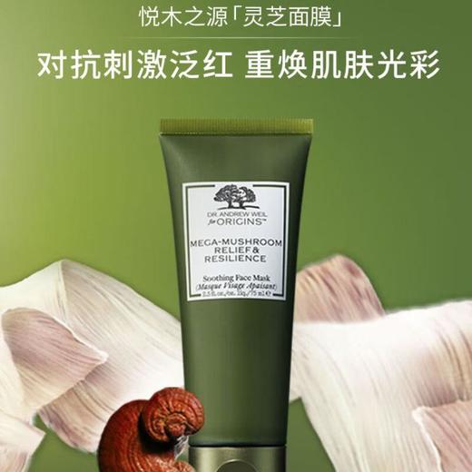 悦木之源灵芝焕能好底子精华面膜75ml 商品图1