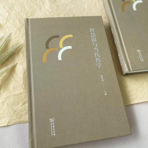 智慧说与当代哲学 商品图2