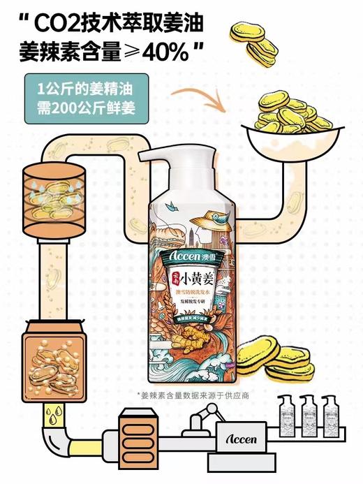 澳雪小黄姜防脱洗发水 商品图6
