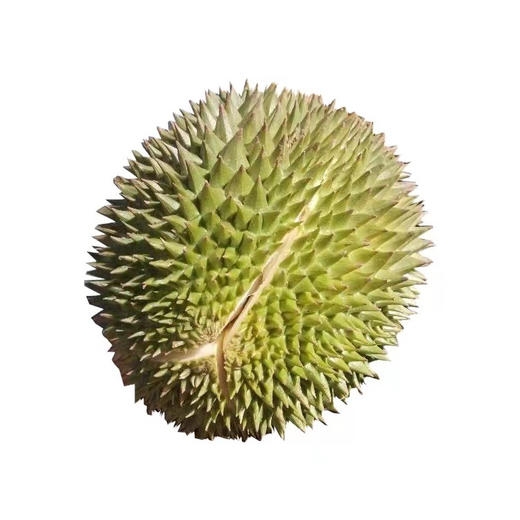 【巴掌秒杀】【香甜软糯】泰国托曼尼榴莲非金枕榴莲冻榴莲2-3斤 商品图10