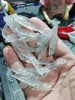 &  本港小银鱼🐠无刺无骨‼煎蛋必备补钙好选择，孩子健康成长首选活冻 商品缩略图2