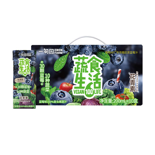 一甸园 蔬食生活100%复合果蔬汁（蓝莓味）200ml*10 商品图0