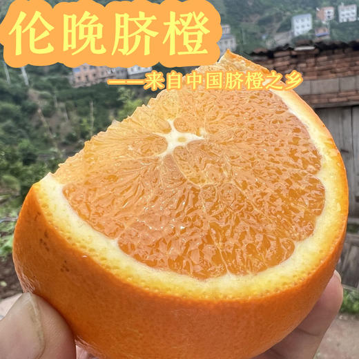 【102项农残O检出】【伦晚脐橙】 来自中国脐橙之乡 清甜多汁  多个规格可选 商品图2