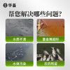 华畜大苏打除氯剂硫代硫酸钠水产养殖水质净化解毒安定剂调水净水 商品缩略图2