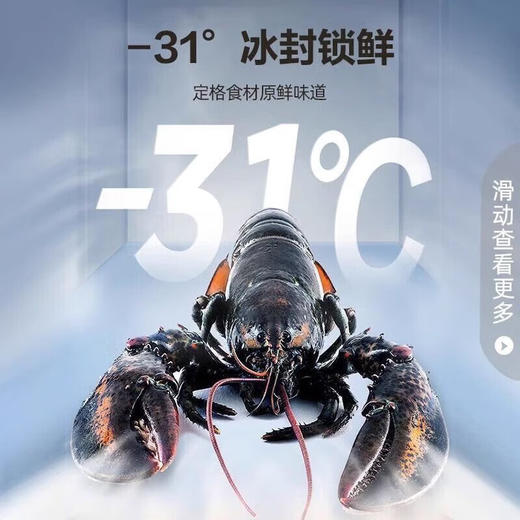 容声/冰箱/BCD-508WKK1FPCQA暮光印 商品图5