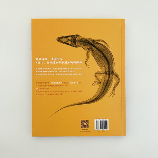 透视之眼：X光下的动物世界 商品图3