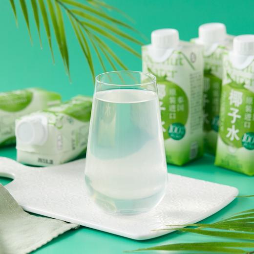 盒马 MAX 100%椰子水 330ml*12 商品图2