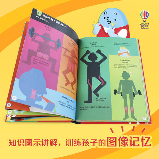 少年科学院 你要知道的100件事 单本任选 商品图11