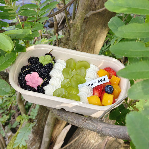 桑葚青提便当盒 商品图1