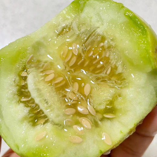 马连庄甜瓜京东快递包邮下单从山东发货 商品图1