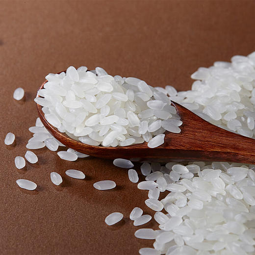 裕道府五常有机湿地大米5kg 商品图4