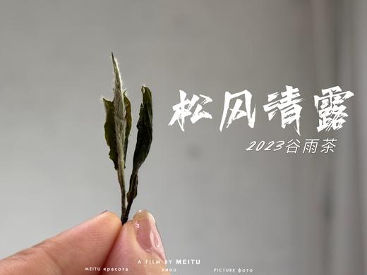 【村姑陈推荐】2023高山谷雨茶，不能再称作谷雨寿眉了，一多半全是白牡丹 商品图5