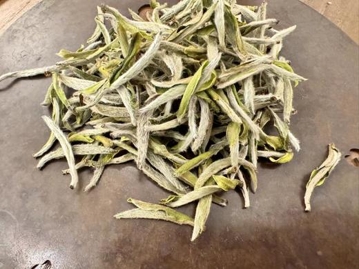 2024春 【经典款】老树头采银针  磻溪后坪 50克 250克 500克 1000克 2500克 商品图2