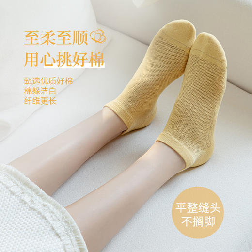 【YW】无忧购（25元/5双，39元/10双）韩系温柔小清新糖果色薄款网眼透气短袜8088（截单后7天发货)25年清仓捡漏 商品图3