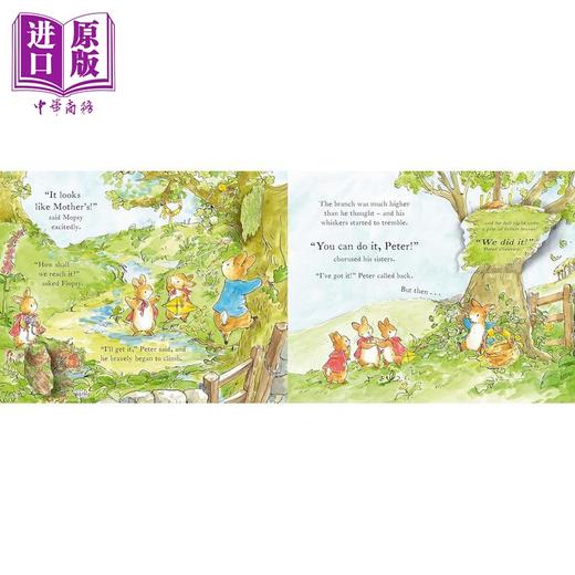 预售 【中商原版】彼得兔 户外书Peter Rabbit The Great Outdoors Treasure Hunt A Lift-the-Flap Storybook英文原版儿童绘本故事 商品图3