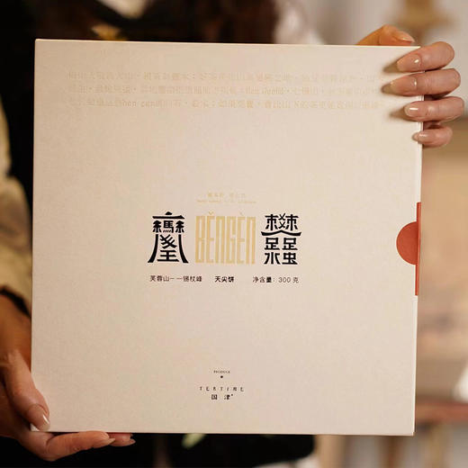 国津丨天尖饼 安化黑茶 2023年原料 300g 礼盒配手提袋 商品图1