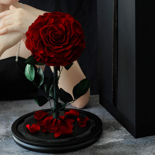 【母亲节送妈妈实用礼物！】永生花玻璃罩成品真玫瑰花，送妈妈生日礼品小王子情人节母亲节礼物-lm！-ry 商品图2