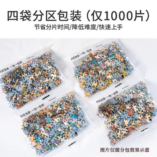 TOI图益-潮玩拼图系列-《鲜花派送》-300片 商品图3