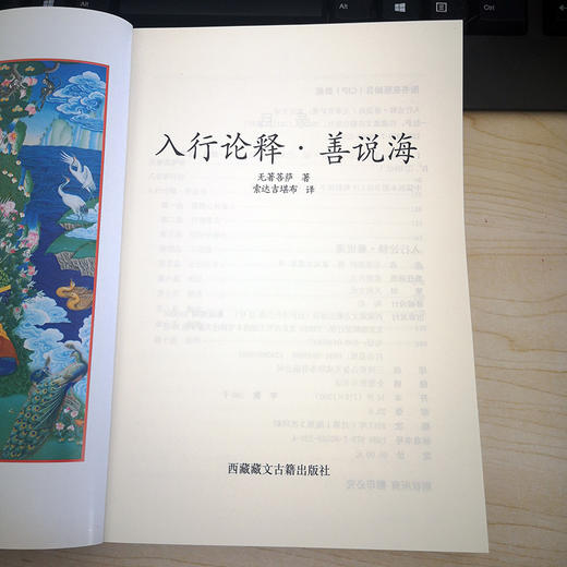 入行论释·善说海 商品图4