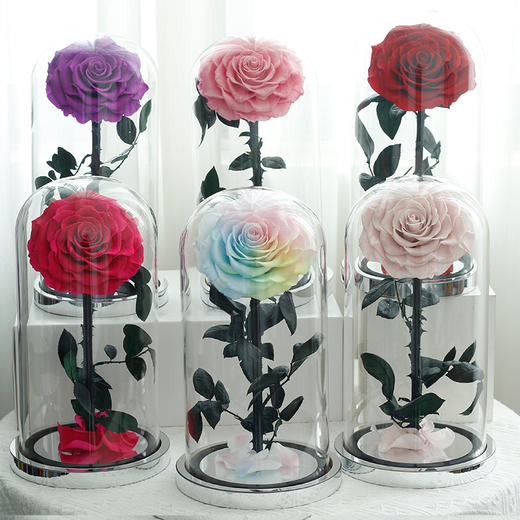 【母亲节送妈妈实用礼物！】永生花玻璃罩成品真玫瑰花，送妈妈生日礼品小王子情人节母亲节礼物-lm！-ry 商品图11