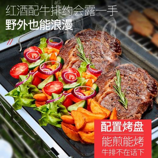 不锈钢烧烤炉木炭烧烤炉bbq碳烤炉户外折叠便携式烧烤架1个 商品图2