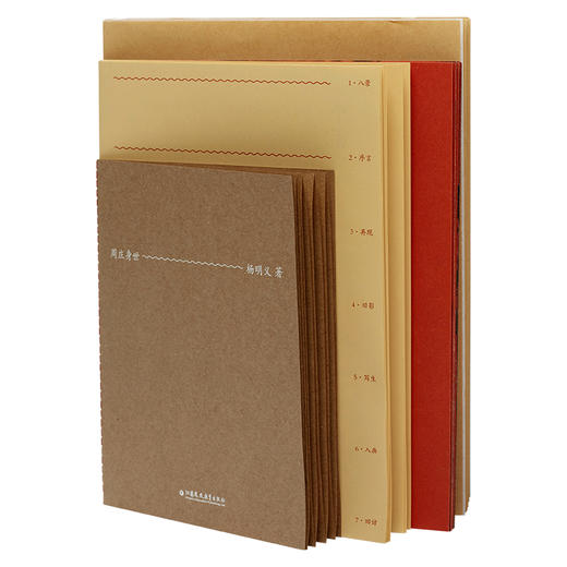 周庄身世 荣获2024年”最美的书”奖 周庄的历史风貌与文化记忆 杨明义著 江苏凤凰教育出版社 商品图2