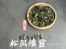 【村姑陈推荐】2023高山谷雨茶，不能再称作谷雨寿眉了，一多半全是白牡丹