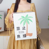 【上班摸鱼搭子】禁止蕉绿 水培香蕉 水培苹果蕉 彩箱装 商品缩略图5